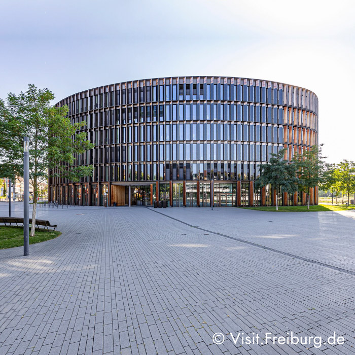 Rathaus im Stühlinger