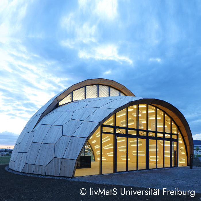 livMats Pavillon